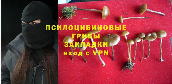 mdpv Алзамай