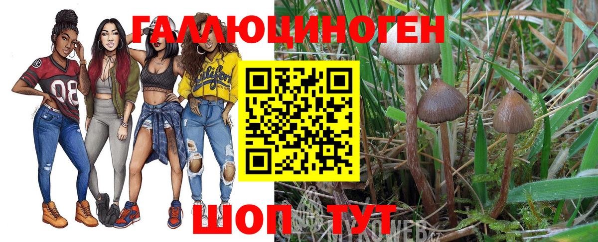 Псилоцибиновые грибы мицелий  Вход с VPN  где найти наркотики  Кольчугино  Галлюциногенные грибы MAGIC MUSHROOMS 